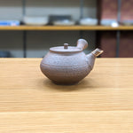 Hokujyo Nanban teapot 145