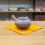 Hokujyo Nanban teapot 145