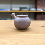 Hokujyo Nanban teapot 147