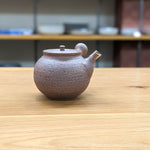 Hokujyo Nanban teapot 147