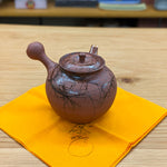 Hokujyo teapot 166