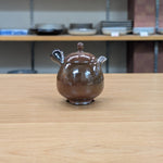 雪堂 艶極窯変 急須 新3