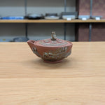 伯勇 龍 宝瓶揃