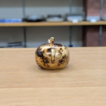 玉光 朱泥班目 後手急須