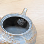 谷川仁 炭化藻がけ 急須 3