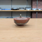 伯勇 龍 宝瓶揃