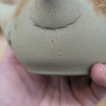 谷川仁 白泥藻がけ 急須 6