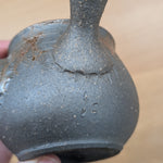 谷川仁 梨皮藻がけ 急須 7