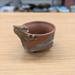 伯勇 龍 宝瓶揃