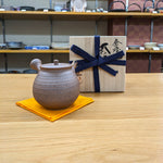 Hokujyo Nanban teapot 149