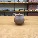 Hokujyo Nanban teapot 149