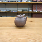 Hokujyo Nanban teapot 149