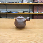 Hokujyo Nanban teapot 149