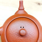 Yoshiki teapot(Biggest size)